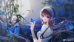 Rule 34 | 1girl, brown hair, bug, butterfly, chinese clothes, duanmu rong (qin shi ming yue), glowing butterfly, hairband, highres, insect, looking back, moon, night, night sky, purple eyes, qinshi mingyue, sky, smile, solo, sparkle, sushi feng, upper body