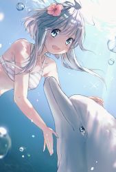 Rule 34 | 1girl, :d, absurdres, ahoge, air bubble, animal, bare arms, bare shoulders, bikini, blue eyes, blush, bubble, collarbone, commentary request, day, dolphin, flower, hair between eyes, hair flower, hair ornament, highres, long hair, looking at viewer, open mouth, original, outdoors, pink flower, revision, silver hair, smile, solo, soranagi yuki, striped bikini, striped clothes, swimsuit, underwater, upper body, water