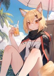 Rule 34 | 1girl, absurdres, animal ear fluff, animal ear piercing, animal ears, arknights, bare legs, black cloak, black shorts, blonde hair, blue sky, cloak, cloud, commentary request, cropped shirt, cup, day, drink, drinking straw, earrings, fox ears, fox girl, fox tail, hair between eyes, hair ornament, hairclip, highres, holding, holding cup, holding drink, hoop earrings, jewelry, knees up, looking at viewer, notched ear, orange eyes, outdoors, palm tree, shirt, short hair, short shorts, shorts, sitting, sky, solo, tail, tree, vermeil (arknights), welt (kinsei koutenkyoku), white shirt