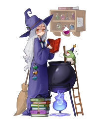 Rule 34 | 1girl, blue fire, blush, book, book stack, broom, fire, frog, grey hair, hat, highres, ladder, long hair, long sleeves, looking at viewer, open book, orange eyes, original, potion, purple headwear, purple robe, rinotuna, robe, shadow, shelf, witch, witch hat