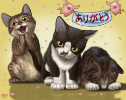 Rule 34 | animal focus, banner, cat, cherry blossoms, kitten, looking at viewer, matataku, monita (matataku), no humans, petals, pig, translation request