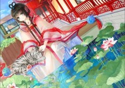 Rule 34 | 1girl, architecture, bad id, bad pixiv id, ball, black hair, blue eyes, building, dutch angle, east asian architecture, flower, hair rings, long hair, lotus, luo tianyi, object spring, sitting, sleeping, smile, solo, temari ball, tiger, traditional clothes, vocaloid, vocanese, water, white tiger