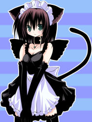 Rule 34 | 1girl, animal ears, black gloves, cat ears, cat tail, collar, elbow gloves, gloves, kannon ouji, maid, solo, tail, thighhighs