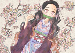 Rule 34 | 1girl, 2019, artist name, asa no ha (pattern), bamboo, bit gag, black hair, branch, brown hair, checkered sash, commentary, commentary request, english commentary, eyelashes, flower, gag, gagged, gradient hair, highres, japanese clothes, kamado nezuko, kimetsu no yaiba, kimono, long hair, looking at viewer, meisaki, mixed-language commentary, multicolored hair, patterned background, pink eyes, pink flower, solo, twitter username, two-tone hair, white background