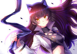 Rule 34 | 1girl, animal ear fluff, animal ears, black hair, blake belladonna, blunt bangs, breasts, cat ears, cleavage, closed mouth, coat, crop top, floating hair, kaikai, long hair, long sleeves, looking at viewer, medium breasts, midriff, navel, open clothes, open coat, rwby, simple background, solo, stomach, turtleneck, upper body, very long hair, white background, white coat, yellow eyes