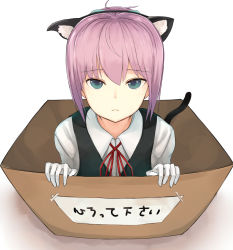 Rule 34 | 10s, 1girl, animal ears, bad id, bad pixiv id, blue eyes, box, cardboard box, cat ears, fake animal ears, fake tail, for adoption, gloves, guanhian, in box, in container, kantai collection, looking at viewer, neck ribbon, pink hair, ponytail, red ribbon, ribbon, sad, school uniform, shiranui (kancolle), short hair, simple background, solo, tail, translated, vest, white gloves