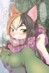 Rule 34 | 1girl, black hair, blonde hair, brown hair, cat, furry, furry female, green eyes, japanese text, multicolored hair, negoya, scarf, smile, solo, translation request, winter clothes