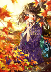 Rule 34 | 1girl, autumn leaves, bag, blurry, blurry foreground, blush, brown eyes, brown hair, commentary request, day, depth of field, grin, hands up, holding, holding leaf, japanese clothes, kimono, leaf, log, long hair, long sleeves, looking at viewer, maple leaf, miyabi akino, original, outdoors, purple kimono, sitting, smile, solo, tree, twitter username, wide sleeves