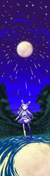 Rule 34 | 1girl, absurdres, animal ears, rabbit ears, female focus, highres, long hair, long image, moon, nature, night, outdoors, red eyes, reflection, reisen udongein inaba, scenery, shokkin, sky, solo, star (symbol), tall image, thighhighs, touhou
