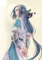 Rule 34 | 2boys, animal, animal on shoulder, arms behind back, black cat, blue hair, cat, cat on shoulder, cowboy shot, from behind, highres, long hair, looking at viewer, low-tied long hair, luo xiaohei, luo xiaohei (cat), luo xiaohei zhanji, micho, multiple boys, short sleeves, very long hair, wuxian (the legend of luoxiaohei), yellow background