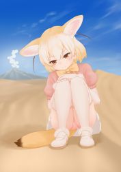 Rule 34 | 10s, 1girl, ancroid, animal ears, bad id, bad pixiv id, blonde hair, blush, brown eyes, day, desert, fennec (kemono friends), fox ears, fox tail, highres, kemono friends, panties, pantyshot, pink panties, sitting, skirt, sky, smile, solo, tail, thighhighs, underwear, white thighhighs