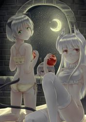 Rule 34 | 3girls, animal ears, apple, ass, bad id, bad pixiv id, blush, breasts, cat ears, cat tail, eila ilmatar juutilainen, extra ears, flat chest, food, fruit, glasses, green eyes, grey hair, heidimarie w. schnaufer, kino (kino buro), lingerie, moon, multiple girls, night, night sky, panties, purple eyes, red eyes, sanya v. litvyak, sky, small breasts, smile, star (sky), starry sky, strike witches, tail, thighhighs, underwear, white hair, window, world witches series