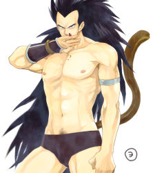 Rule 34 | 1boy, black hair, blood, dragon ball, dragonball z, limits hys, long hair, looking at viewer, male focus, manly, muscular, navel, navel hair, nosebleed, pectorals, pubic hair, raditz, simple background, solo, spiked hair, standing, suzuki tsuta, tail, topless male, white background
