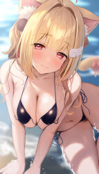 Rule 34 | 1girl, ahoge, animal ear fluff, animal ears, armpit crease, beach, bikini, black bikini, blonde hair, blurry, blush, cat ears, cat tail, commentary, depth of field, dot nose, hair intakes, hands on ground, head tilt, highres, kemomimi refle!, long hair, looking at viewer, nekoma karin, outdoors, partially submerged, pink ribbon, ray mil68, red eyes, ribbon, side-tie bikini bottom, sitting, solo, swimsuit, tail, tail ornament, tail ribbon, tareme, virtual youtuber, water, wet, wing hair ornament