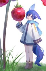 Rule 34 | 1boy, :o, animal ears, ankle boots, arm at side, berry, blue eyes, blue hair, blue scarf, blush, boots, brown footwear, coat, coat dress, day, ear down, fox boy, fox ears, fox tail, grass, hand up, highres, kaito (vocaloid), kemonomimi mode, legs together, long sleeves, looking ahead, male focus, mini person, miniboy, mogu (wy5xrt7w), nature, scarf, short hair, solo, standing, tail, vocaloid, white background, white coat, wide sleeves