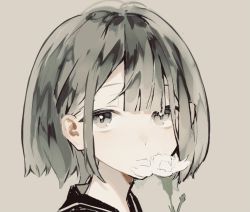 Rule 34 | 1girl, bad id, bad pixiv id, beige background, bob cut, close-up, closed mouth, commentary, flower, grey background, grey eyes, grey hair, looking at viewer, mo011010, original, sailor collar, short hair, sidelocks, simple background, solo, white flower