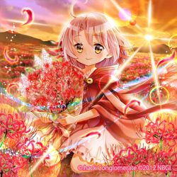 Rule 34 | .hack//, 1girl, ahoge, bouquet, brooch, flower, frills, guilty dragon, jewelry, kneeling, licorice (guilty dragon), minimaru, petals, pink hair, short hair, skirt, smile, solo, spider lily, sunset, white skirt, yellow eyes