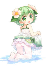 Rule 34 | 1girl, ass, blush, dress, eyebrows, flower, green eyes, green hair, hair flower, hair ornament, kinoko-san, kito (sorahate), looking at viewer, looking back, matching hair/eyes, no shoes, open mouth, original, pantyhose, petticoat, short hair, simple background, skirt hold, solo, thick eyebrows, water, wet, white background, white pantyhose