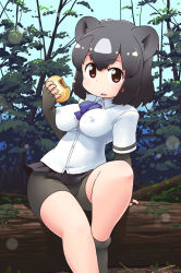 Rule 34 | 10s, 1girl, :o, animal ears, arm behind back, arm support, bare legs, bear ears, between breasts, bike shorts, black hair, breasts, brown bear (kemono friends), collared shirt, covered erect nipples, day, elbow gloves, fingerless gloves, food, gabyo nuno, gloves, gradient hair, graphite (medium), grey hair, hand up, holding, holding food, impossible clothes, impossible shirt, japari bun, kemono friends, looking at viewer, mechanical pencil, medium breasts, microskirt, multicolored hair, open mouth, outdoors, pencil, red eyes, shirt, short hair, short sleeves, shorts, shorts under skirt, sitting, skirt, solo, traditional media, wing collar