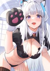 Rule 34 | 1girl, :d, alternate costume, animal ear fluff, animal ears, animal hands, bell, bikini, black bikini, black gloves, black sleeves, black thighhighs, blue archive, blush, breasts, cat ears, cat girl, cat paws, cleavage, collar, fake animal ears, floral print, frilled bikini, frills, fur-trimmed gloves, fur trim, gloves, gluteal fold, halo, hand up, headgear, highres, jingle bell, lace trim, large breasts, leaning forward, light rays, long hair, lower teeth only, maid, maid bikini, maid headdress, mutenka (plfgb), navel, neck bell, noa (blue archive), open mouth, puffy short sleeves, puffy sleeves, purple eyes, short sleeves, shrug (clothing), sidelighting, sidelocks, smile, solo, stomach, string bikini, swimsuit, teeth, thighhighs, thighs, unconventional maid, very long hair, white collar, white hair