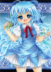 Rule 34 | 1girl, ahoge, anor, blue eyes, blue hair, bow, cirno, dress, fang, female focus, frog, frozen, frozen frog, hair bow, ice, ice wings, matching hair/eyes, millipen (medium), open mouth, pastel (medium), ribbon, short hair, smile, solo, touhou, traditional media, wings
