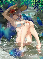 Rule 34 | 1girl, anklet, arm up, armpits, ass, bare shoulders, bikini, bird, blush, braid, breasts, cleavage, collarbone, fate/grand order, fate (series), flower, grass, hair ribbon, hat, hat flower, hibiscus, highres, jewelry, kama (fate), knees together feet apart, knees up, kuroaki, large breasts, legs, long hair, looking at viewer, nail polish, parrot, red eyes, ribbon, side braid, silver hair, sitting, smile, straw hat, stream, swimsuit, water, white bikini