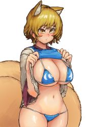 Rule 34 | 1girl, absurdres, bikini, blonde hair, blue bikini, blush, breasts, chanta (ayatakaoisii), closed mouth, clothes lift, cowboy shot, fox tail, grey shirt, highres, huge breasts, lifted by self, long sleeves, looking at viewer, multiple tails, shirt, shirt lift, short hair, simple background, slit pupils, solo, standing, sweat, swimsuit, tabard, tail, touhou, white background, yakumo ran, yellow eyes