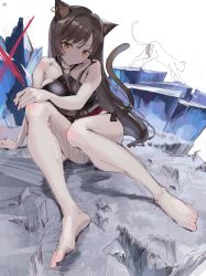 Rule 34 | 1girl, animal ears, arknights, barefoot, bikini, bikini under clothes, black bikini, blush, breasts, brown hair, cat, cat ears, cat tail, closed mouth, feet, highres, jewelry, large breasts, long hair, looking at viewer, ltotyht, o-ring, o-ring swimsuit, official alternate costume, orange eyes, sitting, sketch, skyfire (arknights), skyfire (temperature difference) (arknights), swimsuit, tail