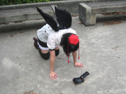 Rule 34 | 1girl, all fours, camera, cosplay, cosplay photo, female focus, hat, photo (medium), prostration, shameimaru aya, solo, thighhighs, tokin hat, touhou, wings