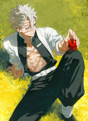 Rule 34 | 1boy, absurdres, apple, arm support, belt, black pants, day, demon slayer uniform, feet out of frame, field, food, from above, fruit, grass, grey hair, grin, hair between eyes, hand up, haori, highres, holding, holding food, holding fruit, jacket, japanese clothes, kimetsu no yaiba, knee up, leg wrap, long sleeves, looking away, male focus, multiple scars, nature, on ground, outdoors, outstretched arm, pants, scar, scar on arm, scar on chest, scar on face, scar on forehead, scar on nose, shinazugawa sanemi, short hair, smile, solo, spiked hair, toned, toned male, ttyttytty, white jacket