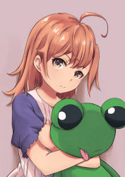 Rule 34 | 1girl, ahoge, brown eyes, brown hair, chobbi, commentary request, frog, grey background, highres, looking at viewer, misaka mikoto, hugging object, shirt, short hair, short sleeves, simple background, solo, stuffed animal, stuffed toy, toaru majutsu no index, white shirt