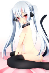 Rule 34 | 1girl, animal ears, bloodcatblack, blush, breasts, collar, grey hair, highres, long hair, looking at viewer, nipples, nude, original, red eyes, sitting, solo, tail, thighhighs, twintails, wariza