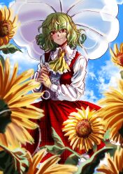 Rule 34 | 1girl, absurdres, ascot, center frills, closed mouth, collared shirt, commentary request, flower, frilled ascot, frilled shirt collar, frills, green hair, happy, head tilt, highres, holding, holding umbrella, kazami yuuka, kuya (hey36253625), long sleeves, outdoors, parasol, plaid, plaid skirt, plaid vest, red eyes, red skirt, red vest, shirt, sketch, skirt, skirt set, smile, solo, sunflower, touhou, umbrella, upper body, vest, wavy hair, white shirt, yellow ascot