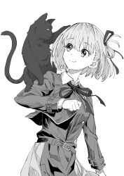 Rule 34 | 1girl, absurdres, animal on arm, belt, belt buckle, black cat, breasts, buckle, cat, clenched hand, closed mouth, collared dress, collared shirt, cropped legs, dress, greyscale, hair ribbon, highres, joker (jjjokerrr233), long sleeves, looking at animal, lycoris recoil, lycoris uniform, medium breasts, monochrome, neck ribbon, nishikigi chisato, ribbon, shirt, short hair, simple background, smile, solo, white background