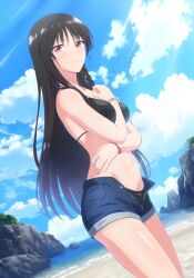 Rule 34 | 1girl, alya l16, artist request, beach, between breasts, bikini, black bikini, black hair, braid, breasts, cleaned, closed mouth, cloud, cloudy sky, collarbone, covering stomach, day, embarrassed, frown, hand up, horikita suzune, long hair, looking at viewer, medium breasts, mountain, navel, nose, ocean, official art, open clothes, open shorts, red eyes, sand, shorts, sky, solo, standing, swimsuit, thighs, tomose shunsaku, tree, wristband, youkoso jitsuryoku shijou shugi no kyoushitsu e