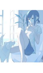 Rule 34 | 1girl, aspara, blue theme, chair, closed mouth, dog, door, expressionless, highres, holding, indoors, knee up, letterboxed, looking at another, monochrome, original, plant, ponytail, potted plant, shirt, short sleeves, shorts, sidelocks, sitting, solo, white shirt, window