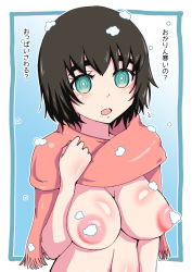 Rule 34 | 1girl, breasts, female focus, japanese text, large areolae, nipples, nude, shiina mayuri, short hair, snow, steins;gate, tagme, translation request