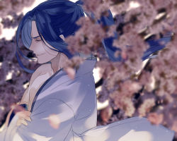 Rule 34 | 1boy, sasaki kojirou (fate), blue hair, blurry, cherry blossoms, closed mouth, crossed arms, dekoyama, depth of field, closed eyes, fate/grand order, fate/stay night, fate (series), floating hair, from side, hadanugi dousa, japanese clothes, light particles, long hair, neck, off shoulder, petals, ponytail, profile, single bare shoulder, smirk, smug, upper body