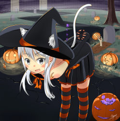 Rule 34 | 1girl, 2017, animal ears, arms behind back, artist name, bent over, blush, breasts, candy, cat ears, cleavage, costume, dated, downblouse, elbow gloves, fang, fog, food, gloves, glowing, grass, graveyard, grey eyes, halloween, halloween costume, hanging breasts, hat, highres, interlocked fingers, leaning forward, lollipop, long hair, looking at viewer, myukuni, night, open mouth, original, outdoors, plant, pumpkin, silver hair, small breasts, smile, solo, standing, tail, thighhighs, tombstone, tree, witch hat