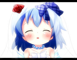 Rule 34 | 1girl, bare shoulders, blue bow, blue hair, blush, bow, bridal veil, cirno, closed eyes, collarbone, commentary request, dress, earrings, facing viewer, flower, hair bow, ice, ice wings, jewelry, letterboxed, long hair, makuran, necklace, parted lips, pearl necklace, plaid, plaid bow, red flower, red rose, rose, see-through, shiny skin, simple background, solo, strapless, strapless dress, stud earrings, touhou, veil, waiting for kiss, wedding dress, white background, white bow, wings
