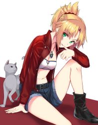 Rule 34 | 1girl, absurdres, animal, belt, black belt, black footwear, blonde hair, boots, braid, breasts, cat, cleavage, commentary request, fate/grand order, fate (series), green eyes, hair ornament, hair scrunchie, highres, jacket, jewelry, jun (aousa0328), long hair, long sleeves, looking at viewer, medium breasts, mordred (fate), mordred (fate/apocrypha), mordred (memories at trifas) (fate), navel, necklace, ponytail, red jacket, red scrunchie, scrunchie, short shorts, shorts, sitting, smile, solo