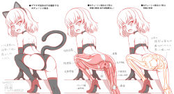 Rule 34 | 10s, 1girl, anatomy, animal ears, anus, ass, blush, bone, bottomless, cat ears, cat girl, cat tail, choker, female focus, girls und panzer, gloves, high heels, katyusha (girls und panzer), leg up, looking at viewer, looking back, monochrome, multiple views, muscular, open mouth, partially colored, pussy, sekai saisoku no panda, short hair, simple background, skeleton, solo focus, tail, translation request, variations, white background
