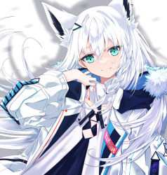 Rule 34 | absurdres, animal ear fluff, animal ears, black dress, braid, commentary request, dog tags, dress, earrings, fox ears, fox girl, green eyes, hair between eyes, hair ornament, hairclip, highres, hiyashinssu, hololive, jacket, jewelry, long hair, looking at viewer, open clothes, open jacket, shadow, shirakami fubuki, shirakami fubuki (fubukitek), sidelocks, simple background, single braid, smile, virtual youtuber, white background, white hair, white jacket