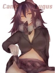 Rule 34 | 10s, 1girl, absurdres, ancolatte (onikuanco), animal ears, black hair, blue eyes, breasts, buttons, character name, cleavage, clothes lift, fang, fur collar, gloves, grey wolf (kemono friends), heterochromia, highres, kemono friends, large breasts, latin text, lifting own clothes, long hair, long sleeves, looking at viewer, mouth hold, multicolored hair, necktie, necktie in mouth, necktie on mouth, no bra, no panties, skirt, skirt lift, smile, solo, two-tone hair, white background, white gloves, wolf ears, yellow eyes
