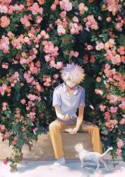 Rule 34 | 1boy, :|, blue eyes, cat, closed mouth, day, expressionless, feeding, flower, full body, hair over one eye, headphones, headphones around neck, highres, hunter x hunter, k.g (matsumoto zo), killua zoldyck, looking at viewer, male focus, orange pants, outdoors, pants, pink flower, shadow, shirt, short hair, sitting, solo, spiked hair, spread legs, white cat, white hair, white shirt