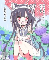 Rule 34 | 1girl, animal ears, black hair, blush, boots, cat ears, coat, dengeki moeou, dokidoki sister aoi-chan, flower, hair ornament, hairclip, hood, hydrangea, kohinata aoi (dokidoki sister aoi-chan), long hair, open mouth, outdoors, plant, rain, raincoat, red eyes, rubber boots, school swimsuit, see-through, smile, snail, solo, squatting, swimsuit, swimsuit under clothes, tail, takahashi tetsuya, translation request, twintails, umbrella, very long hair, watermark