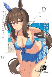 Rule 34 | 1girl, admire vega (umamusume), animal ears, beach, bent over, bikini, breasts, brown hair, cleavage, closed mouth, collarbone, hair ornament, highres, horse ears, horse girl, john does, long hair, looking at viewer, medium breasts, navel, ocean, purple eyes, solo, swimsuit, translation request, twitter username, umamusume, water, white background