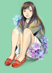 Rule 34 | 1girl, absurdres, arms between legs, brown eyes, brown hair, eyebrows, facial mark, flower, full body, green background, highres, junjunforever, lips, long hair, looking at viewer, mole, mole under mouth, nose, original, red footwear, shoes, shorts, simple background, sitting, smile, solo, white shorts