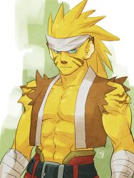 Rule 34 | 1boy, akira (lowkick), animal ears, blonde hair, breath of fire, breath of fire iii, closed mouth, colored skin, facial mark, green eyes, headband, long hair, looking at viewer, male focus, muscular, muscular male, rei (breath of fire), solo, yellow skin