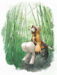 Rule 34 | 1boy, absurdres, animal ears, bamboo, bamboo forest, blazblue, blazblue: central fiction, cat, cat ears, closed mouth, coat, commentary request, closed eyes, forest, furry, furry male, highres, hood, hood up, jubei (blazblue), kyouya0514, long sleeves, looking up, male focus, nature, outdoors, prehensile tail, rock, sheath, simple background, sitting, sleeves past wrists, solo, sword, tail, thick thighs, thighs, weapon, whiskers, white background